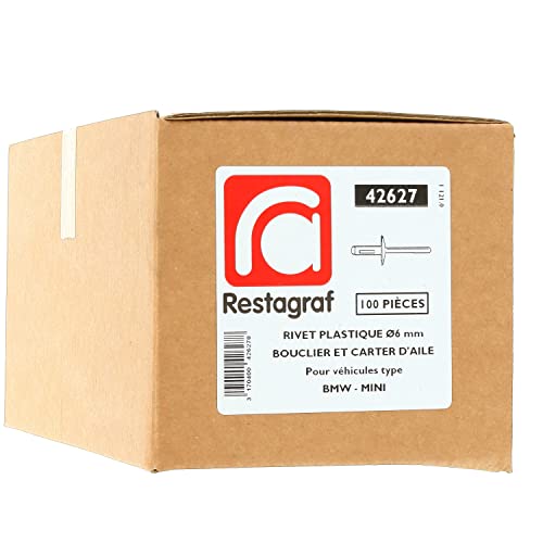 Rivet plastique contre vibrations de carrosserie BMW Mini 6mm