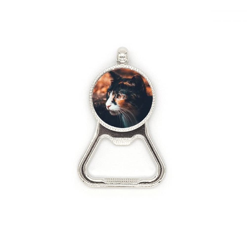 Décapsuleur bière chat marron vintage, idée cadeau originale