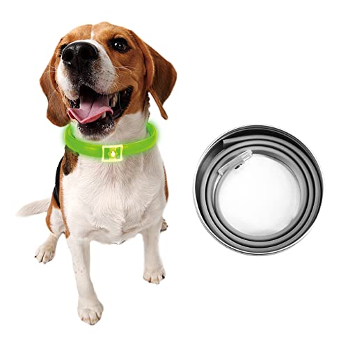 DEWEL Leuchtendes Zeckenhalsband für Hunde, Zeckenhalsband Leuchthalsband Hund Verstellbar Floh-und Zecken Prävention Halsbänder Wasserdicht Fluoreszierendes Flohhalsband gegen Ungeziefer, 63.5cm