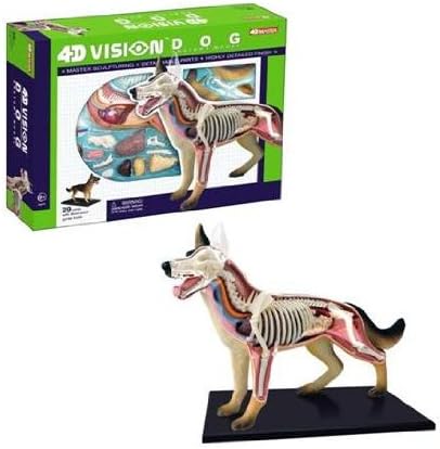 Tedco 4D Vision Dog Anatomy Model