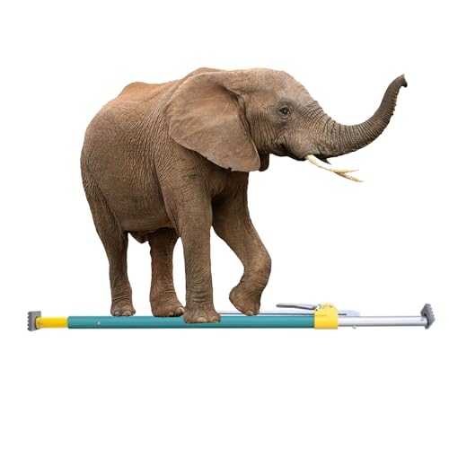Barre de charge télescopique en aluminium pour remorque et camionnette extensible 225-260 cm