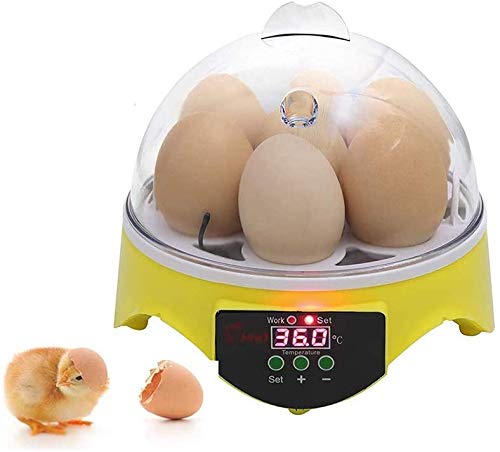 SYue Egg Incubator Digital Hatcher Temperature Control for Hatching Chicken Goose Duck Birds Brooder,7 Egg