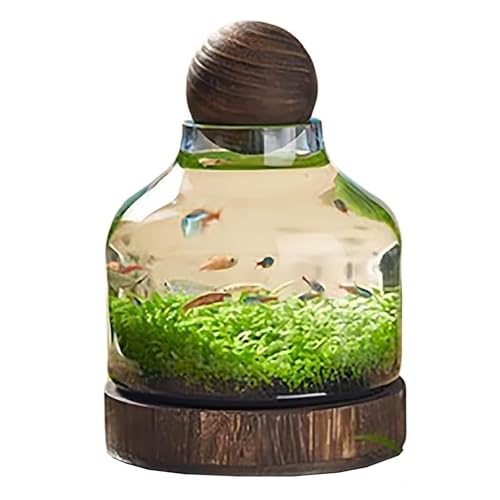 A KXAKXfish tankAؐgCAGR{gAhXP[vAk͔|A}CNhXP[v (24*17cm)