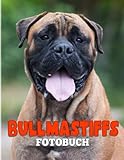  Bullmastiffs Fotobuch: Sammlung von süßen Hunden mit 40 hochwertigen und einzigartigen Fotos im Inneren  Geschenke für Kinder und Erwachsene, um mehr über Tiere zu erfahren und zu entspannen.