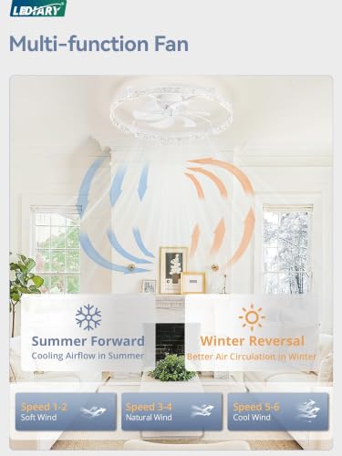 Image of LEDIARY 30 Inch Ceiling Fans with Lights White