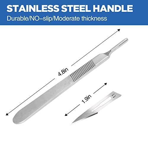 21PCS 20 Scalpel Blades with #11 Scalpels Surgical Sterile Blades Including 1 Handle,Laboratory Blade-Lab Knives- Carving Blades with Handle-Art Blades Practicing Cutting-Crafts & More…