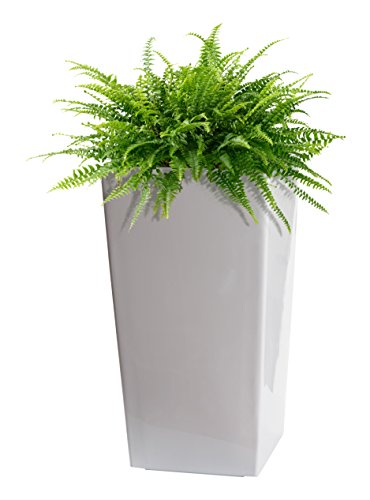 Algreen Modena Planter with Watering Tray, Gloss White, 16