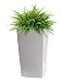 Algreen Modena Planter with Watering Tray, Gloss White, 16" Square