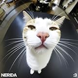 toyger katze charakter  Toyger