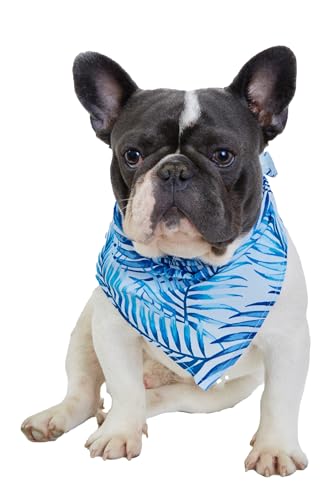Image of Hawaii Hangover Family Matching Hawaiian Clothes, Simply Blue Leaves | Family matching Hawaiian outfits, Simply Blue Leaves, lightweight rayon, machine washable, tropical leaf print, luaus