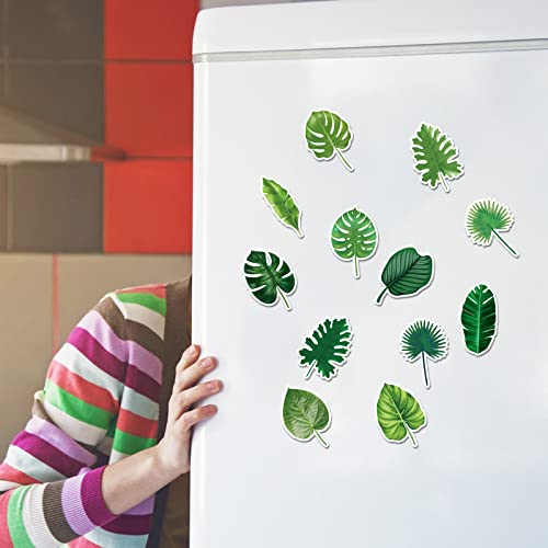 Kanayu 48 Pcs Tropical Leaves Refrigerator Magnets Cute Mini Magnetic Monstera Plant Fridge Magnets Fun Plant Magnets Sticker For Home Office Kitchen Car Locker Metal Door Decor Accessories #TOP6