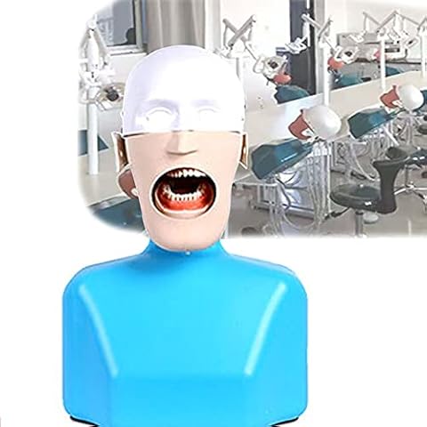BOVDC Dental Crown Models, Dental Phantom Head Model, Dental Model with Shoulder Body Dental Training Simulator for Dentist Teaching, Assistant Practice Cover