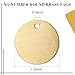 Zhengmy 50 Pcs Round Brass Tags, 1-1/4 Inch Diameter, Gold Blank Metal Stamping Key Brass Tags with Hole Engraving for Pets, Dogs, Plants, Doors
