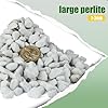 Doter Organic Chunky Perlite 1qt & Horticultural Charcoal for Plants 1 qt