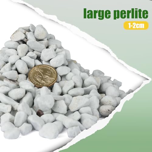 Doter Organic Chunky Perlite for Plants (0.4\"-0.8\" in Diameter), Natural Horticultural Soil Additive Conditioner Mix, Improve Drainage and Ventilation, Enhance Soil Health and Root Growth (1 Quart)