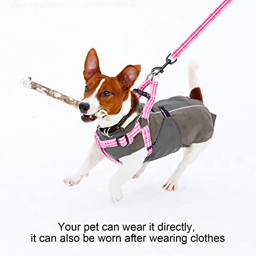BEAUTYZOO No Pull Small Dog Harness and Leash Set, No Chock Puppy Step in Vest Harness Nylon Lightweight Neck&Chest Adjustable for Dogs Girls and Boy, Pet Harness for Small Medium Dogs