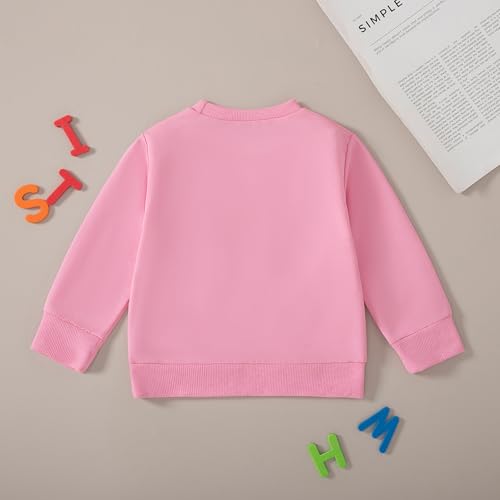Toddler Baby Fall Outfit Birthday Girl Crewneck Sweatshirt Tops Little Princess Birthday Shirt Kids Spring Clothes3