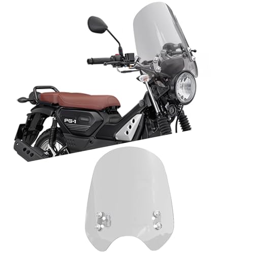 KAGEFUNE For PG-1 PG1 PG 1 PG ONE 2025p oCNANZT[ EChV[htFAOAtgEChftN^[AoCNpEChV[hveN^[ PG-1 2024-2025 oCNANZT[ (