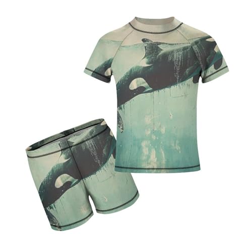 Killer Whale SwimmingChildren's Casual Swimsuit Set - Simple and Versatile9-11Y（140cm）