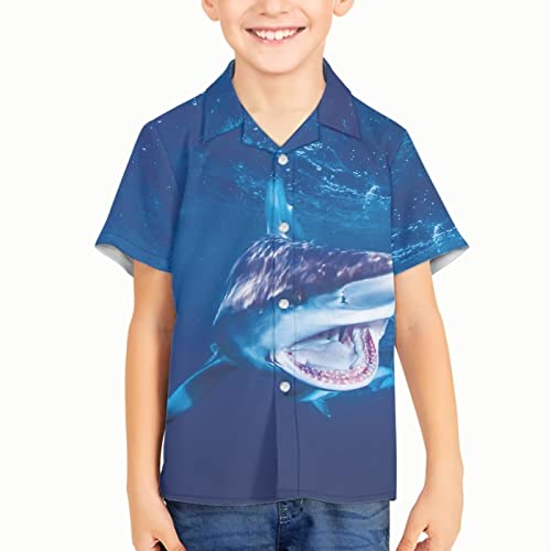 Boys Hawaii Shirt Casual Button Down Shirt Tops Happy Holiday Shirt Short Sleeve Shirt3