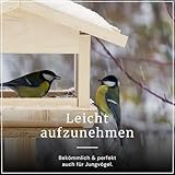 Erdtmanns Fettfutter für Wildvögel 15 × 1000 g – energiereiches Ganzjahresfutter mit Haferflocken, Erdnüssen & Früchten – ideal für Balkon & Garten – beliebt bei Meisen, Amseln
