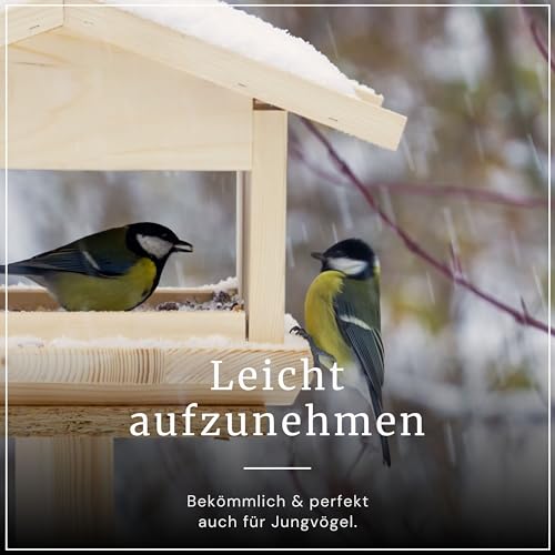 Erdtmanns Fettfutter für Wildvögel 15 × 1000 g – energiereiches Ganzjahresfutter mit Haferflocken, Erdnüssen & Früchten – ideal für Balkon & Garten – beliebt bei Meisen, Amseln