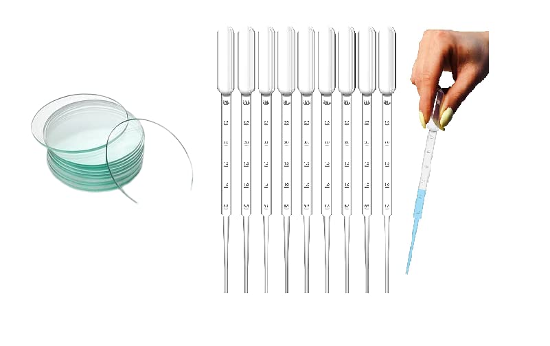 Laboratory Watch Glass 12 Pcs with Pasture Pipette 10 Nos (B0C6HKXQ8Q) Amazon Price History, Amazon Price Tracker