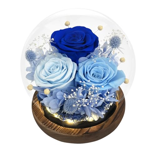 FIACO Preserved Flowers in Glass Dome
