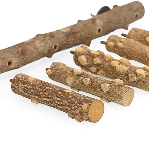 Bird Ladder Perch Cage Nature Wood Stand Parrot Chew Toy For Small Medium Parrot Animal (M) #TOP2