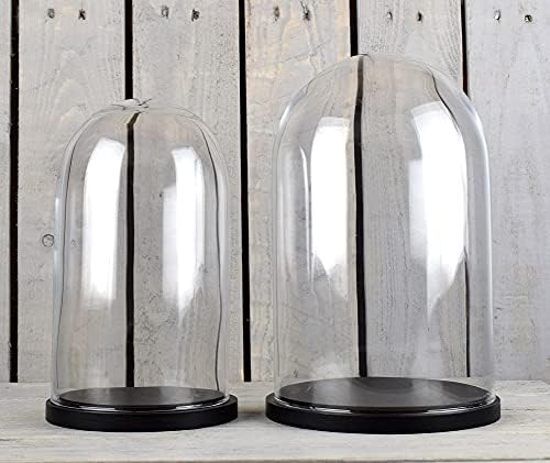 EMH Medium Glass Dome Display Cover Cloche Black Base Height 31cm