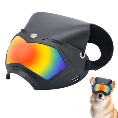 ペットゴーグル, 防水サングラス UVプロテクションハット, 取り外し可能 通気性 ペット ヘルメット アクセサリー 登山 夏祭り ビーチ アウトドア アウティング 用