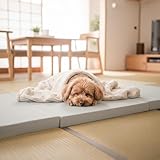 Wellflex 車中泊 マット ごろ寝マット 