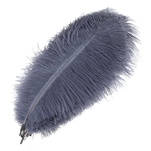 MWOOT 10 Stück Natürliche Straußenfedern, Strauß Feder Plume für Hochzeit Party Fest Tisch Herzstück Dekoration (Schwarz, 25-30 cm) (Grau)