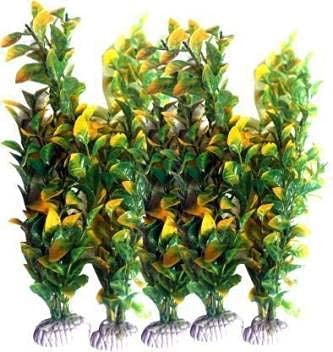 See full amazon price history chart for Kapoor pets Fish Point KFP-03-8 inch Aquarium Pot Aquarium Plant Anchor ((Plant Anchors5) Kapoor pets Fish Point KFP-03-8 inch Aquarium Pot Aquarium Plant Anchor ((Plant Anchors5) (B09772Q2Z2) Amazon Price History, Amazon Price Tracker
