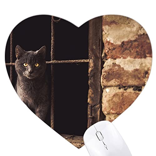 Tapis de souris chat en cœur tapis de bureau souris optique animal corner