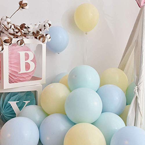 Zorpia 10 Inch Party Pastel Balloons 100Pcs Macaron Latex Balloons Candy Mint Green Color For Birthday Wedding Engagement Anniversary Arch Party Decoration -Pastel Mint Green #TOP1
