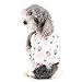 Ranphy Dog Dress for Small Dog Girls Pet Camisole with Floral and Cherry Printed Puppy Spring Summer Outfits Chihuahua Yorkie Cats Apparel, Pink, L
