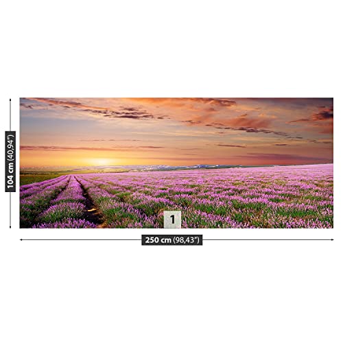 Papier Peint Champ de lavande 250x104cm pour salon moderne