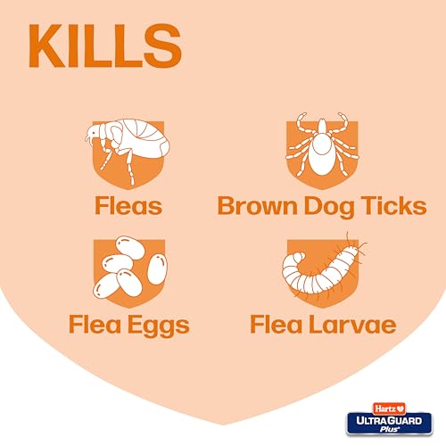 Image of Hartz UltraGuard Plus Flea & Tick Home Spray, Kills Fleas and Ticks, Clean Fresh Scent, 16 Ounce