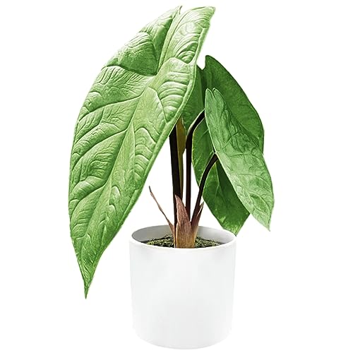 NOUKOW 12" Artificial Alocasia Plants for Home Decor Indoor Small Fake Potted Plants for Office Desk Home Farmhouse Room Decor