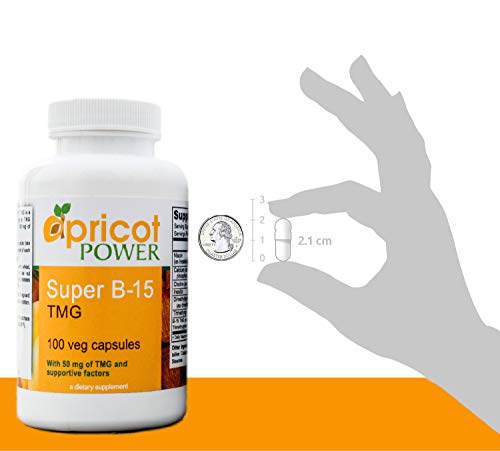 Apricot Power Super B-15 Non Toxic Pangamic Acid - Health Oxygen Levels & Energy - 100 Veg Caps #TOP4