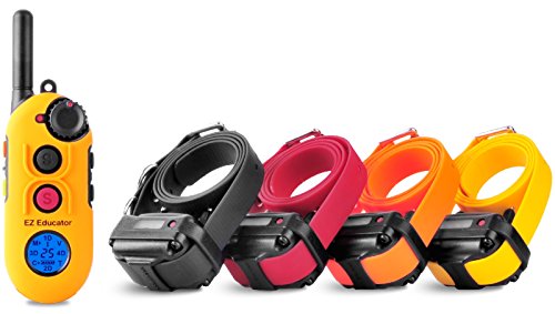 Educator EZ 1/2 Mile Dog Training Collar with Ergonomic Remote, ...