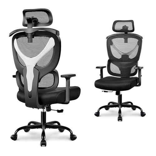 Winrise Office Chair Ergonomic Desk Chair Comfy Computer Chair, B...