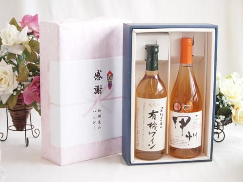 ̏H̑蕨 ӂ̑蕨{bNXL@͔|100%CƍYCZbg(bB IWC h(R)720ml