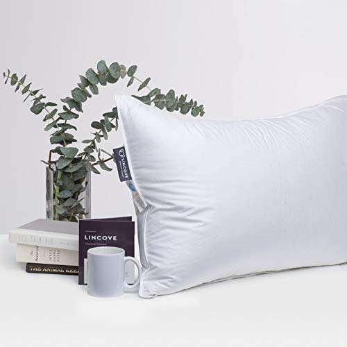 Lincove Recreation Sleeping Pillow – Filled With Imported Premium Goose Down – 600 Fill Power, 500 Thread Count Pillow Shell, King - Soft, 2 Pack #TOP2