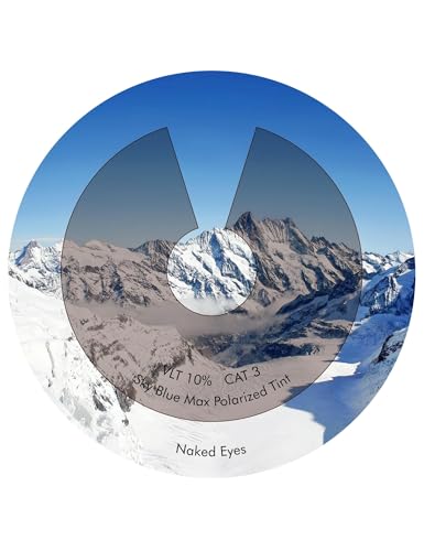 Image of Performance Replacement Lenses Compatible with Oakley Eyepatch 1&2 Polarized Etched