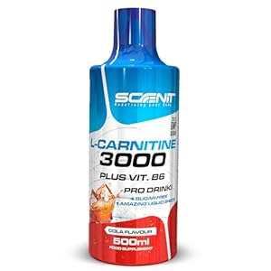 L Carnitine 3000 – L Carnitine – L-Carnitine – L Carnitine Liquide – Carnitine Liquide – LCarnitine – Carnitine Pure – L-Carnitine Liquide – 500 ml (Cola)