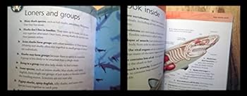 Paperback Sharks Mini Encyclopedia Book