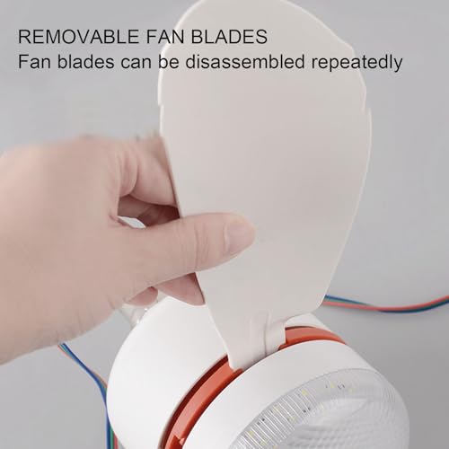Ventilateur de plafond 12V KIMISS à 5 pales amovibles avec éclairage LED et prise suspendue