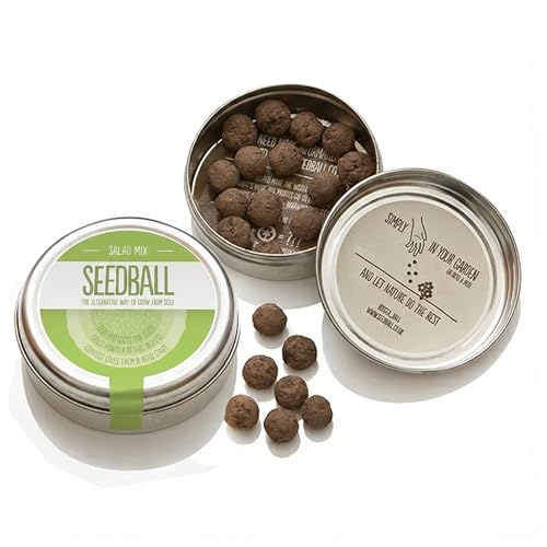 fai crescere il tuo cucina giardino con seedball - innovativo & facile da coltivare & ideale giardino regalo - insalata mix